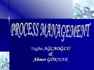 PROCESS MANAGEMENT