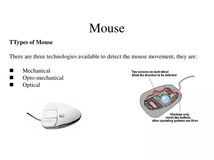 mouse