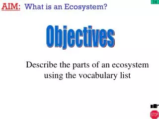AIM: What is an Ecosystem?