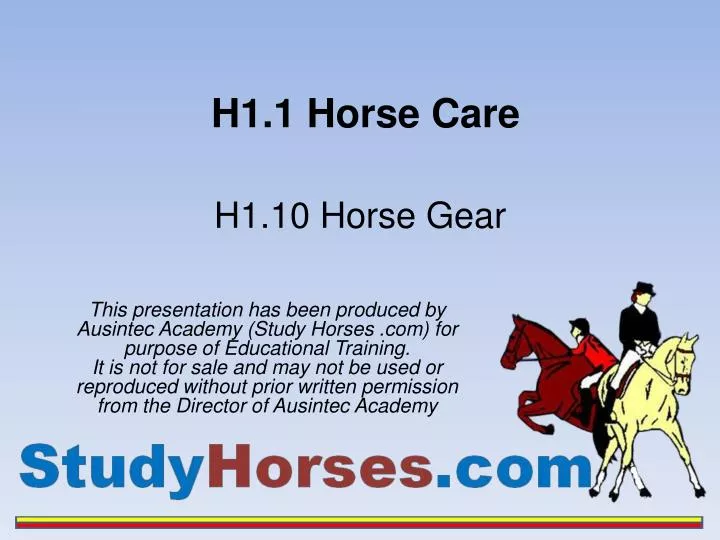 h1 1 horse care