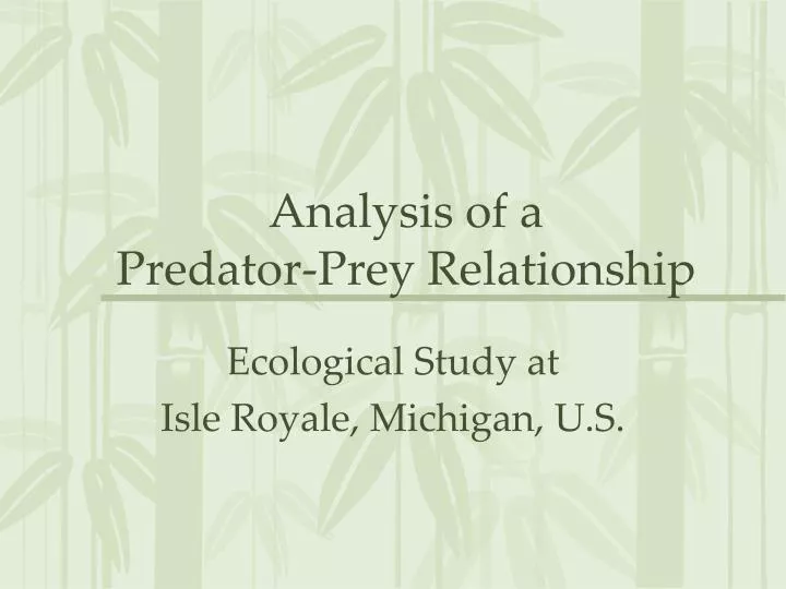 analysis of a predator prey relationship