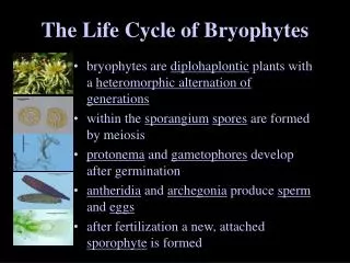 The Life Cycle of Bryophytes