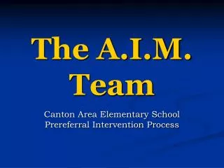 The A.I.M. Team