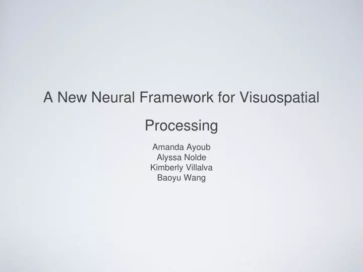 a new neural framework for visuospatial processing