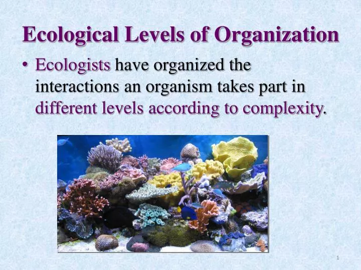 ecological levels of organization