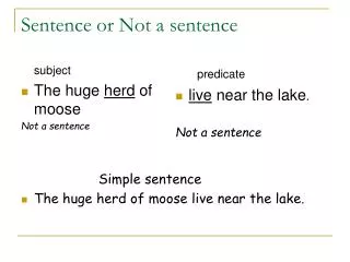 Sentence or Not a sentence