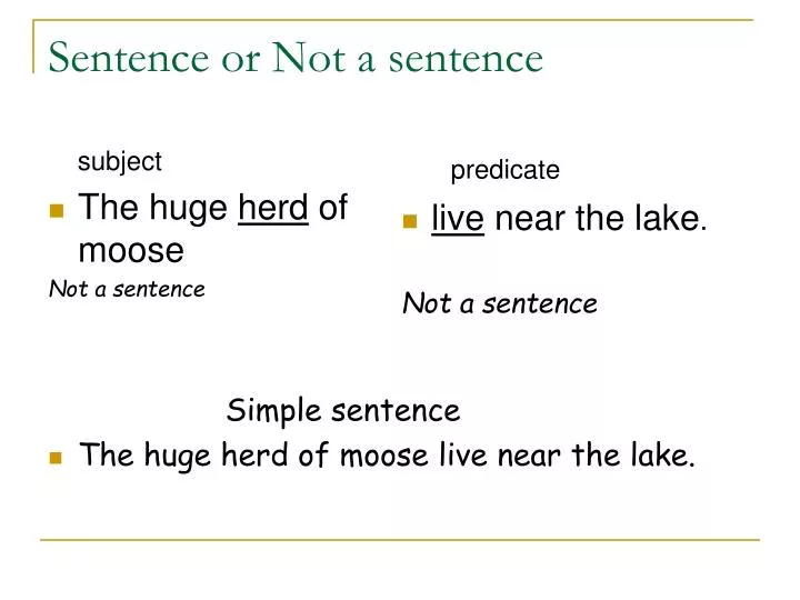 sentence or not a sentence