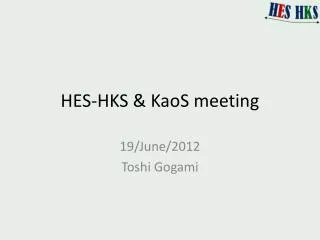HES-HKS &amp; KaoS meeting