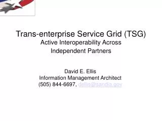 Trans-enterprise Service Grid (TSG) Active Interoperability Across Independent Partners