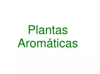 plantas arom ticas