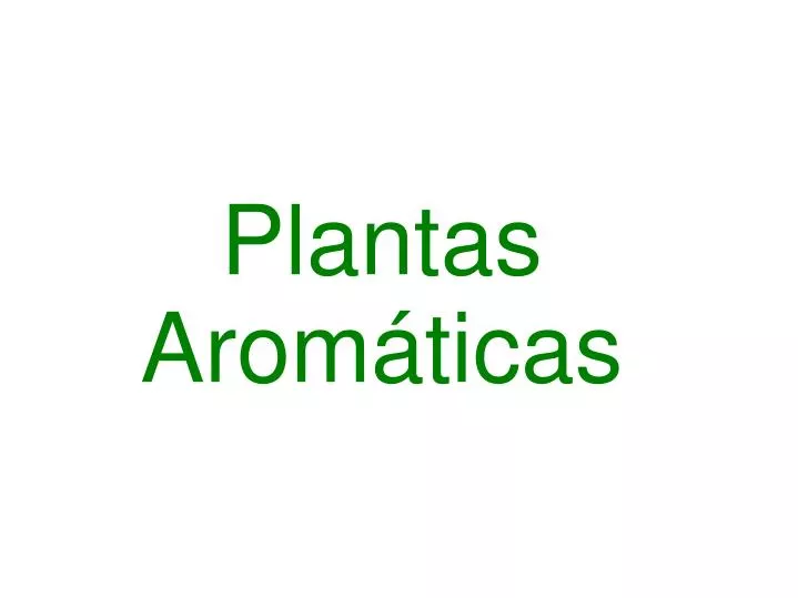 plantas arom ticas