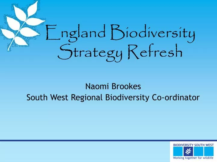 england biodiversity strategy refresh