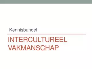 intercultureel vakmanschap
