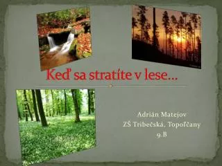 ke sa strat te v lese