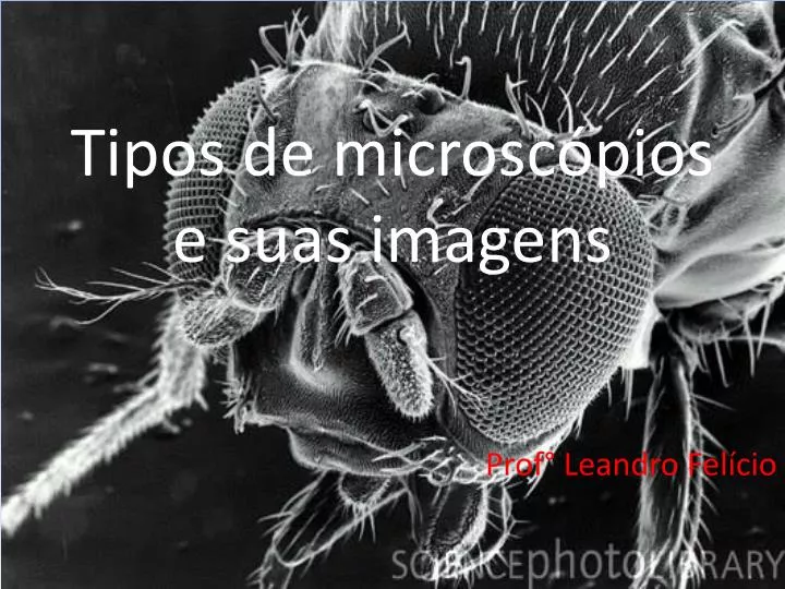 tipos de microsc pios e suas imagens