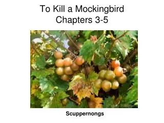To Kill a Mockingbird Chapters 3-5