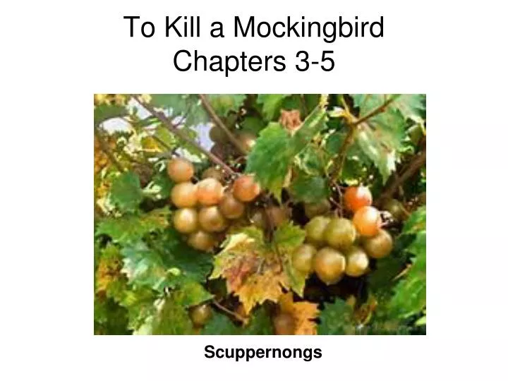 to kill a mockingbird chapters 3 5