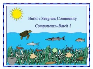Build a Seagrass Community Components--Batch 1