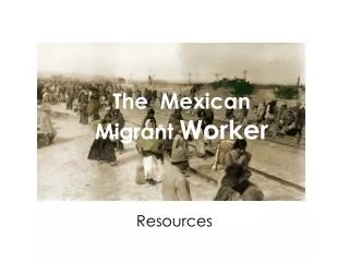 The Mexican Migrant Worker