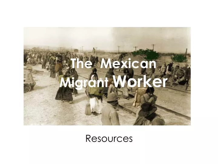 the mexican migrant worker