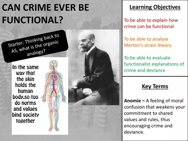 can crime ever be functional