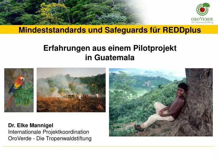 mindeststandards und safeguards f r reddplus erfahrungen aus einem pilotprojekt in guatemala