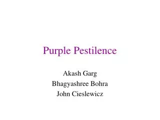 Purple Pestilence