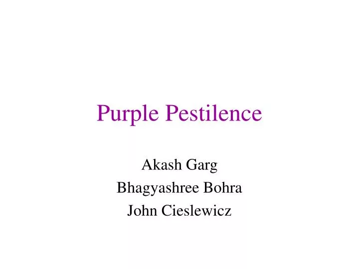 purple pestilence