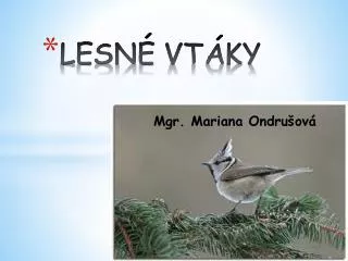 lesn vt ky