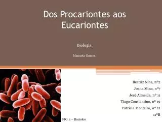 dos procariontes aos e ucariontes