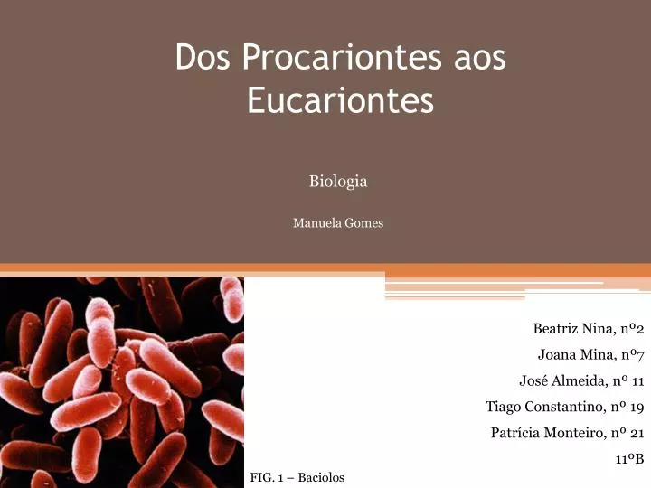 dos procariontes aos e ucariontes