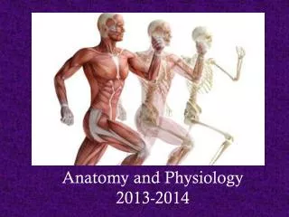 Anatomy and Physiology 2013-2014