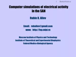 Computer simulations of electrical activity in the SAN