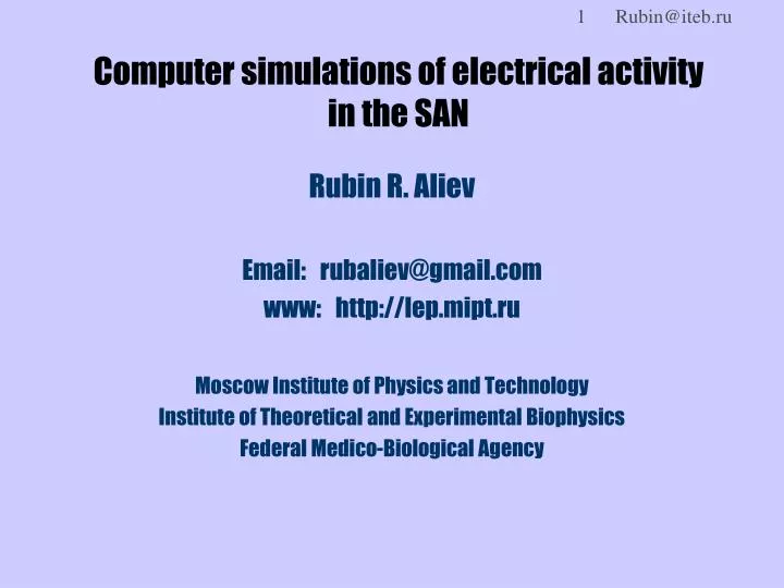 computer simulations of electrical activity in the san