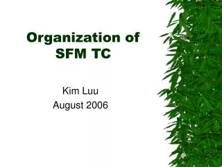 Organization of SFM TC