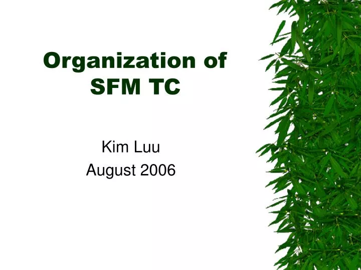 organization of sfm tc