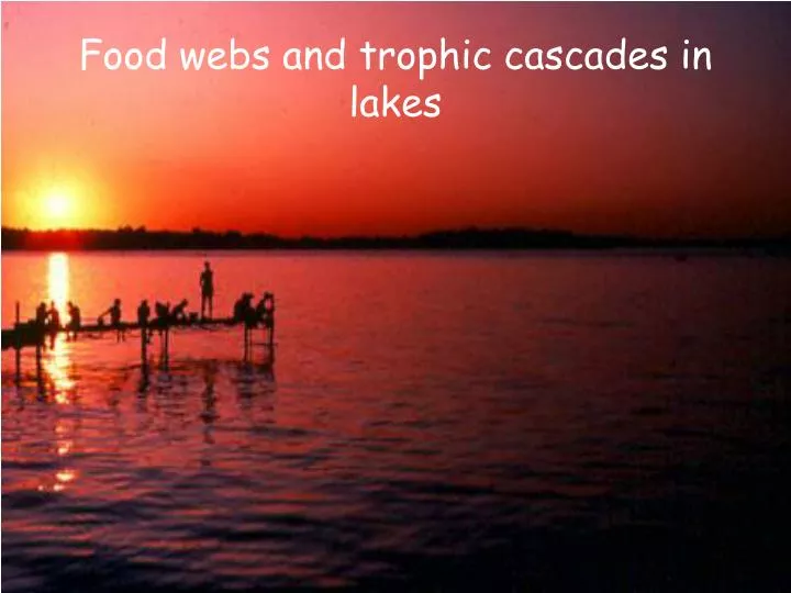 food webs and trophic cascades in lakes