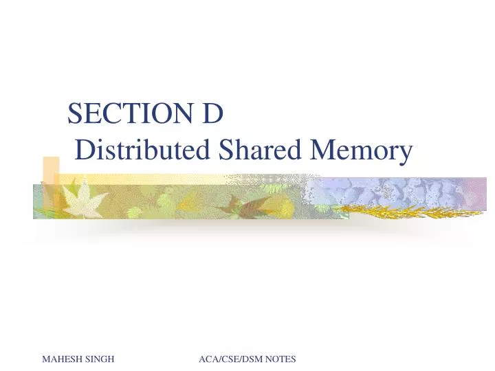 section d distributed shared memory
