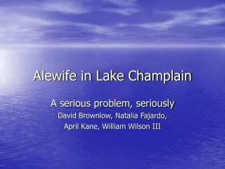 Alewife in Lake Champlain