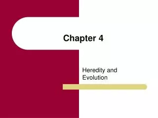 Chapter 4