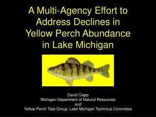 A Multi-Agency Effort to Address Declines in Yellow Perch Abundance in Lake Michigan