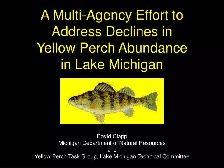 a multi agency effort to address declines in yellow perch abundance in lake michigan