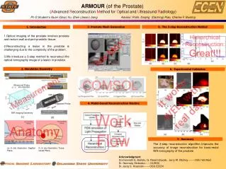 Optical imaging of the prostate involves prostate and rectum wall and peri-prostatic tissue.