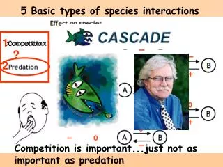 5 Basic types of species interactions