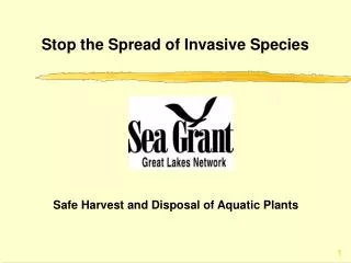 Stop the Spread of Invasive Species
