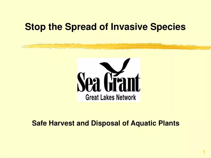 stop the spread of invasive species