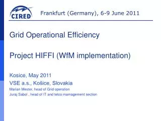 Grid Operational Efficiency Project HIFFI (WfM implementation)