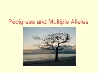 Pedigrees and Multiple Alleles