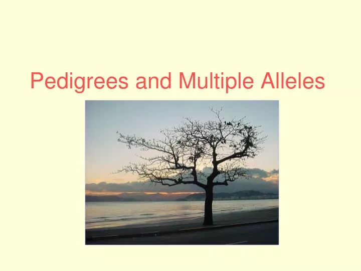 pedigrees and multiple alleles