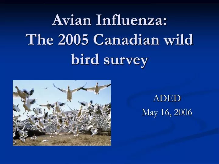 avian influenza the 2005 canadian wild bird survey